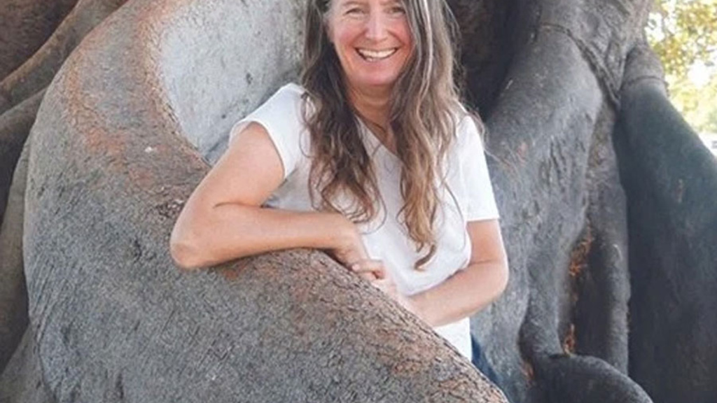 The Language of Trees: A Conversation with Katie Holten promotional image